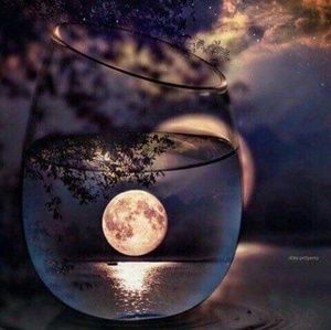 Meet your Posher, Robyn